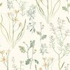 zinnia380